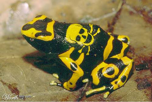 008901c66d8a 5d7e71c0 6400a8c0